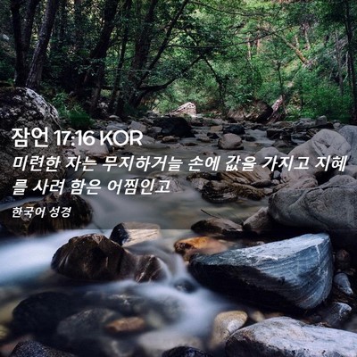 Picture 02 - 잠언 17:16 KOR - 미련한 자는 무지하거늘 손에 값을 - Bible Verse Picture