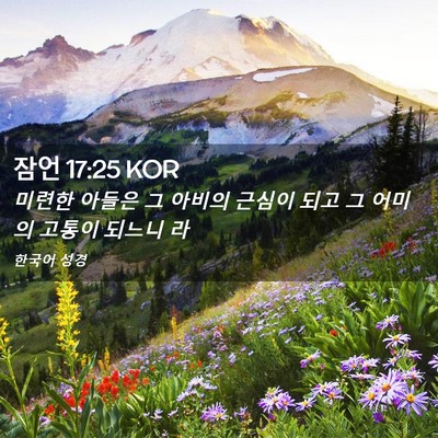Picture 02 - 잠언 17:25 KOR - 미련한 아들은 그 아비의 근심이 - Bible Verse Picture