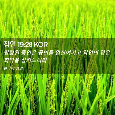 Picture 02 - 잠언 19:28 KOR - 망령된 증인은 공의를 업신여기고 - Bible Verse Picture