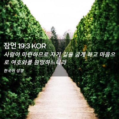 Picture 02 - 잠언 19:3 KOR - 사람이 미련하므로 자기 길을 굽게 - Bible Verse Picture