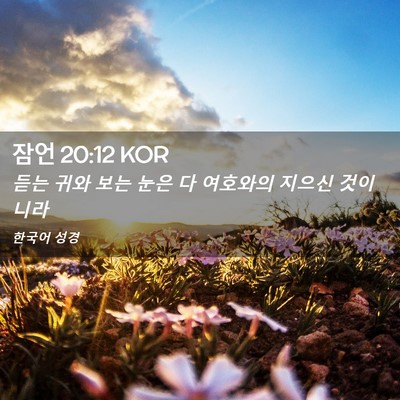 Picture 02 - 잠언 20:12 KOR - 듣는 귀와 보는 눈은 다 여호와의 - Bible Verse Picture