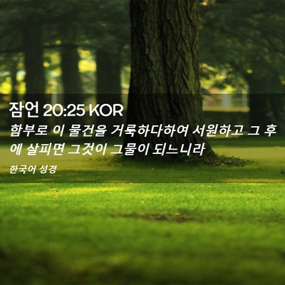 Picture 02 - 잠언 20:25 KOR - 함부로 이 물건을 거룩하다하여 - Bible Verse Picture