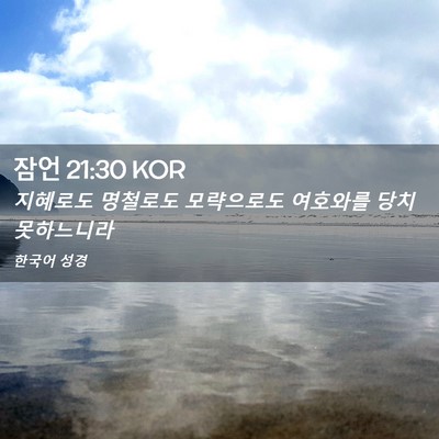 Picture 02 - 잠언 21:30 KOR - 지혜로도 명철로도 모략으로도 - Bible Verse Picture
