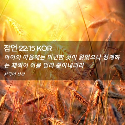 Picture 02 - 잠언 22:15 KOR - 아이의 마음에는 미련한 것이 - Bible Verse Picture