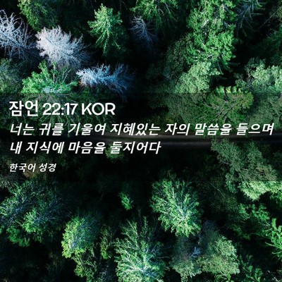 Picture 02 - 잠언 22:17 KOR - 너는 귀를 기울여 지혜있는 자의 - Bible Verse Picture