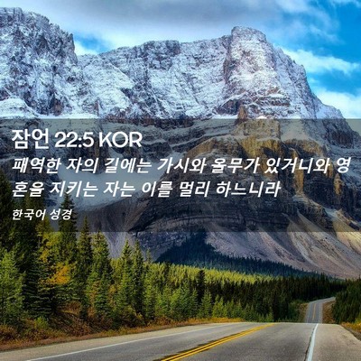 Picture 02 - 잠언 22:5 KOR - 패역한 자의 길에는 가시와 올무가 - Bible Verse Picture