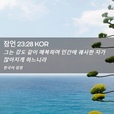 Picture 02 - 잠언 23:28 KOR - 그는 강도 같이 매복하며 인간에 - Bible Verse Picture