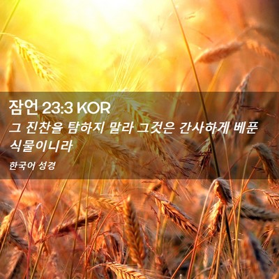 Picture 02 - 잠언 23:3 KOR - 그 진찬을 탐하지 말라 그것은 - Bible Verse Picture