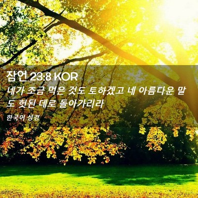 Picture 02 - 잠언 23:8 KOR - 네가 조금 먹은 것도 토하겠고 네 - Bible Verse Picture