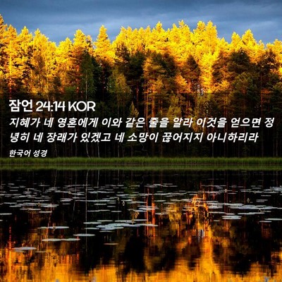 Picture 02 - 잠언 24:14 KOR - 지혜가 네 영혼에게 이와 같은 줄을 - Bible Verse Picture