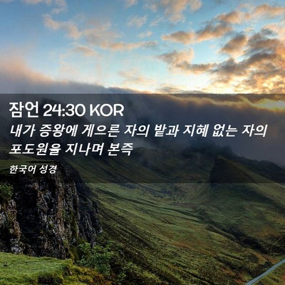 Picture 02 - 잠언 24:30 KOR - 내가 증왕에 게으른 자의 밭과 지혜 - Bible Verse Picture