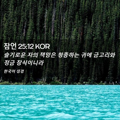 Picture 02 - 잠언 25:12 KOR - 슬기로운 자의 책망은 청종하는 귀에 - Bible Verse Picture