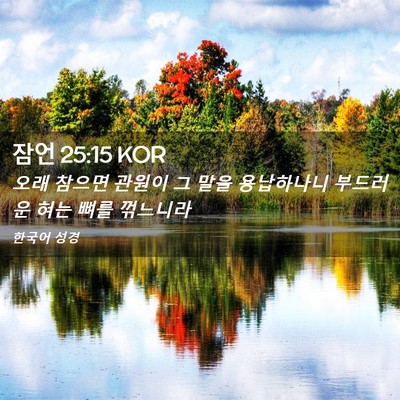 Picture 02 - 잠언 25:15 KOR - 오래 참으면 관원이 그 말을 - Bible Verse Picture