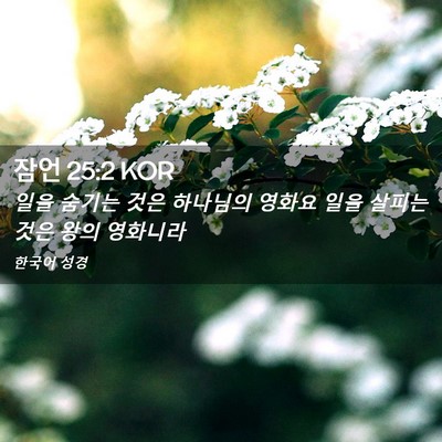 Picture 02 - 잠언 25:2 KOR - 일을 숨기는 것은 하나님의 영화요 - Bible Verse Picture
