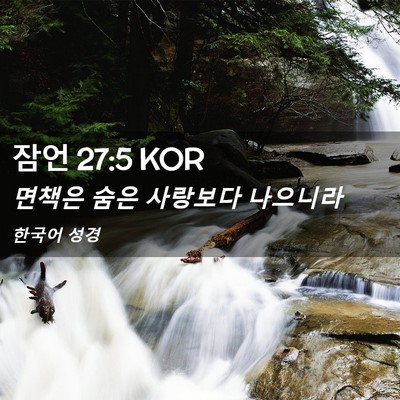 Picture 02 - 잠언 27:5 KOR - 면책은 숨은 사랑보다 - Bible Verse Picture