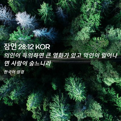 Picture 02 - 잠언 28:12 KOR - 의인이 득의하면 큰 영화가 있고 - Bible Verse Picture