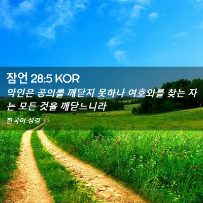 Picture 02 - 잠언 28:5 KOR - 악인은 공의를 깨닫지 못하나 - Bible Verse Picture