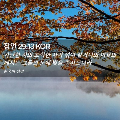 Picture 02 - 잠언 29:13 KOR - 가난한 자와 포학한 자가 섞여 - Bible Verse Picture