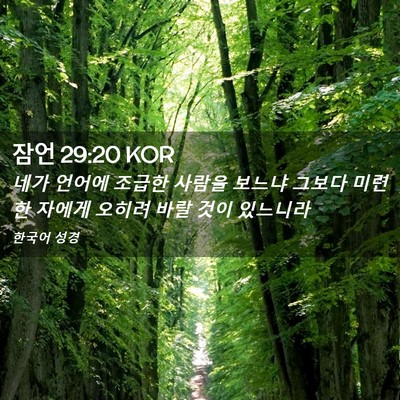 Picture 02 - 잠언 29:20 KOR - 네가 언어에 조급한 사람을 보느냐 - Bible Verse Picture