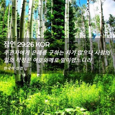 Picture 02 - 잠언 29:26 KOR - 주권자에게 은혜를 구하는 자가 - Bible Verse Picture