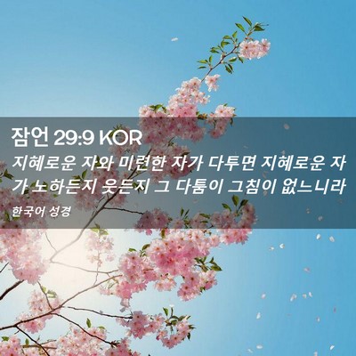 Picture 02 - 잠언 29:9 KOR - 지혜로운 자와 미련한 자가 다투면 - Bible Verse Picture