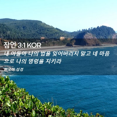 Picture 02 - 잠언 3:1 KOR - 내 아들아 나의 법을 잊어버리지 - Bible Verse Picture
