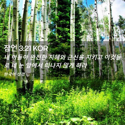 Picture 02 - 잠언 3:21 KOR - 내 아들아 완전한 지혜와 근신을 - Bible Verse Picture