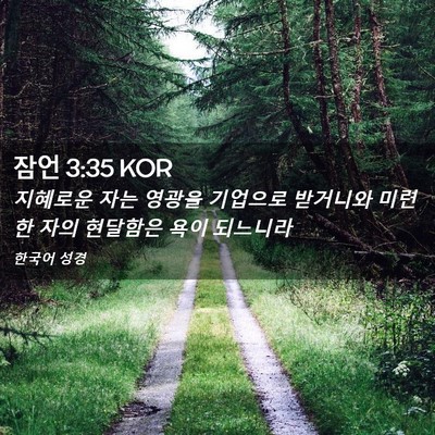 Picture 02 - 잠언 3:35 KOR - 지혜로운 자는 영광을 기업으로 - Bible Verse Picture