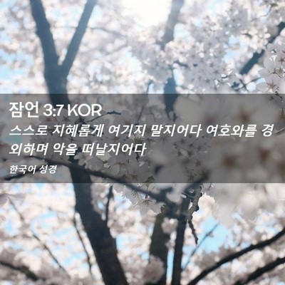 Picture 02 - 잠언 3:7 KOR - 스스로 지혜롭게 여기지 말지어다 - Bible Verse Picture