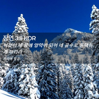 Picture 02 - 잠언 3:8 KOR - 이것이 네 몸에 양약이 되어 네 - Bible Verse Picture