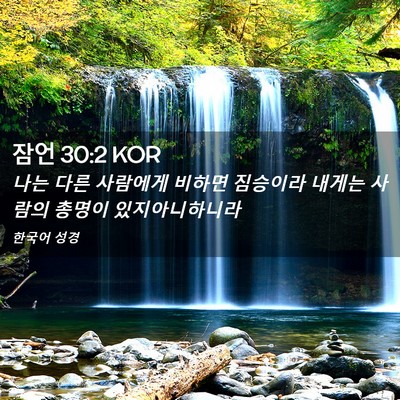 Picture 02 - 잠언 30:2 KOR - 나는 다른 사람에게 비하면 짐승이라 - Bible Verse Picture