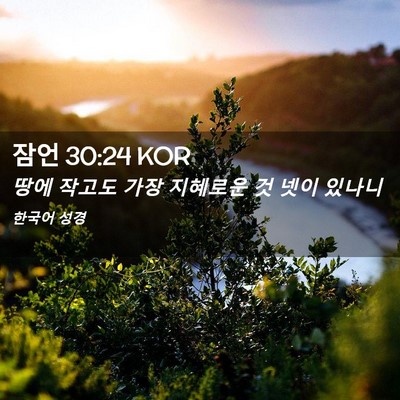 Picture 02 - 잠언 30:24 KOR - 땅에 작고도 가장 지혜로운 것 넷이 - Bible Verse Picture
