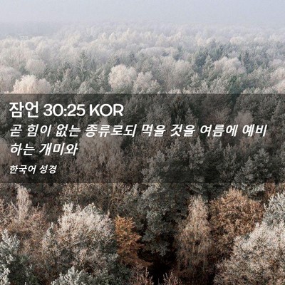 Picture 02 - 잠언 30:25 KOR - 곧 힘이 없는 종류로되 먹을 것을 - Bible Verse Picture