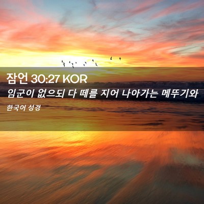Picture 02 - 잠언 30:27 KOR - 임군이 없으되 다 떼를 지어 - Bible Verse Picture