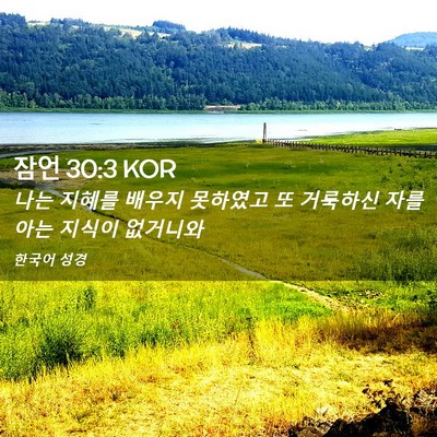 Picture 02 - 잠언 30:3 KOR - 나는 지혜를 배우지 못하였고 또 - Bible Verse Picture