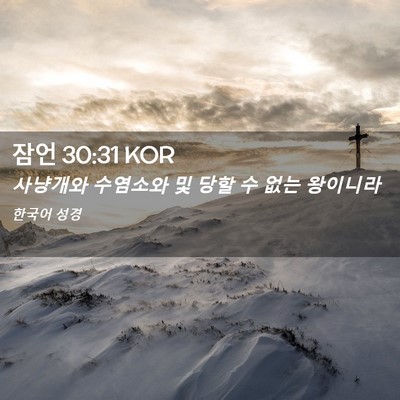 Picture 02 - 잠언 30:31 KOR - 사냥개와 수염소와 및 당할 수 없는 - Bible Verse Picture