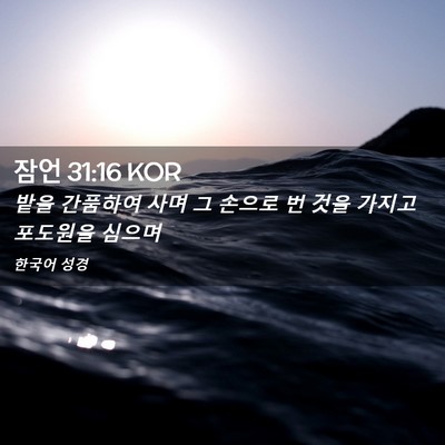 Picture 02 - 잠언 31:16 KOR - 밭을 간품하여 사며 그 손으로 번 - Bible Verse Picture