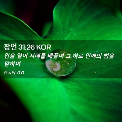 Picture 02 - 잠언 31:26 KOR - 입을 열어 지혜를 베풀며 그 혀로 - Bible Verse Picture