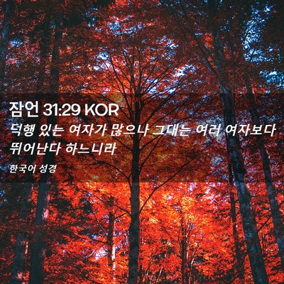 Picture 02 - 잠언 31:29 KOR - 덕행 있는 여자가 많으나 그대는 - Bible Verse Picture