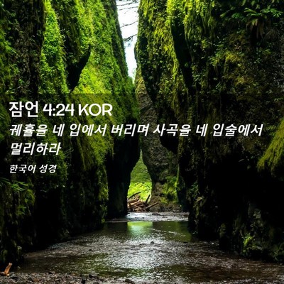 Picture 02 - 잠언 4:24 KOR - 궤휼을 네 입에서 버리며 사곡을 네 - Bible Verse Picture