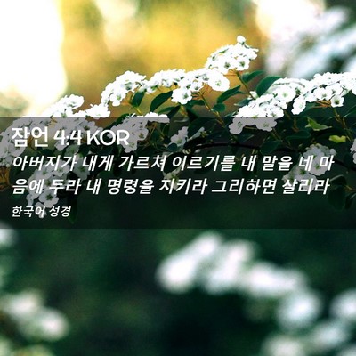 Picture 02 - 잠언 4:4 KOR - 아버지가 내게 가르쳐 이르기를 내 - Bible Verse Picture