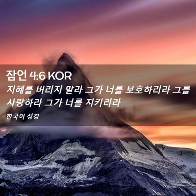 Picture 02 - 잠언 4:6 KOR - 지혜를 버리지 말라 그가 너를 - Bible Verse Picture