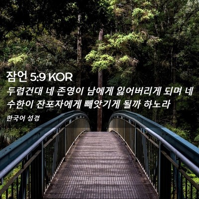 Picture 02 - 잠언 5:9 KOR - 두렵건대 네 존영이 남에게 - Bible Verse Picture