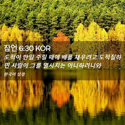 Picture 02 - 잠언 6:30 KOR - 도적이 만일 주릴 때에 배를 - Bible Verse Picture