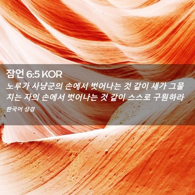 Picture 02 - 잠언 6:5 KOR - 노루가 사냥군의 손에서 벗어나는 것 - Bible Verse Picture