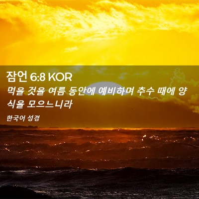 Picture 02 - 잠언 6:8 KOR - 먹을 것을 여름 동안에 예비하며 - Bible Verse Picture