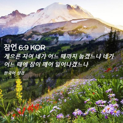 Picture 02 - 잠언 6:9 KOR - 게으른 자여 네가 어느 때까지 - Bible Verse Picture