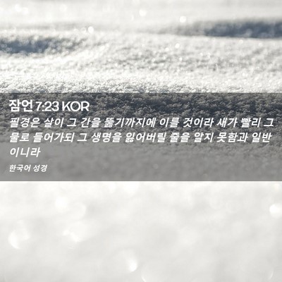 Picture 02 - 잠언 7:23 KOR - 필경은 살이 그 간을 뚫기까지에 - Bible Verse Picture