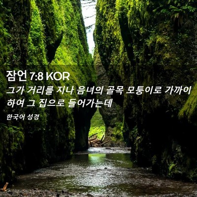 Picture 02 - 잠언 7:8 KOR - 그가 거리를 지나 음녀의 골목 - Bible Verse Picture