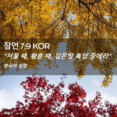 Picture 02 - 잠언 7:9 KOR - 